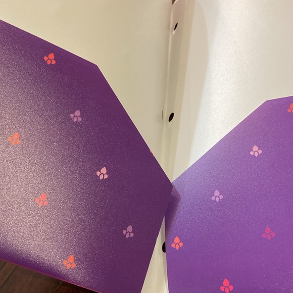 Set of two, “TheTaj Mahal Collection” by Studio C poly, two pocket folders. - Picture 4 of 5